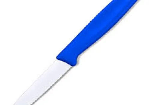 Paring Paring knife, wavy, blue handle 8cm 1 ~item/2024/1/12/5_0632