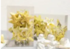 Decoration ACC XMAS STAR 12PC 1 ~item/2024/1/19/yyttg