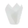 DIVA Tulip Greaseproff white 5x8 cm 