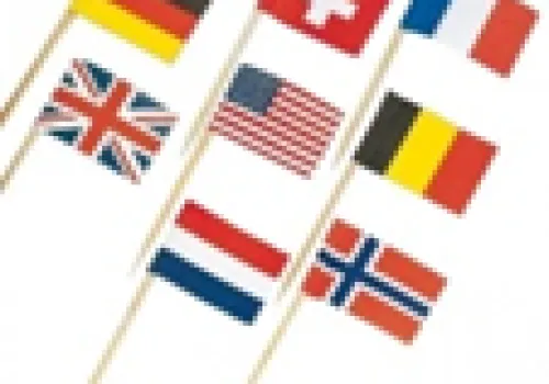 Acessories Party Flag International 1 ~item/2024/1/24/141040004
