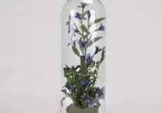 Glassware Flower Glass Dome D.130x270mm with Wooden Base 1 ~item/2024/1/29/131170033