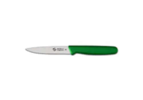 AJA Paring Knife 11cm, Green Handle 1 ~item/2024/1/6/15780158